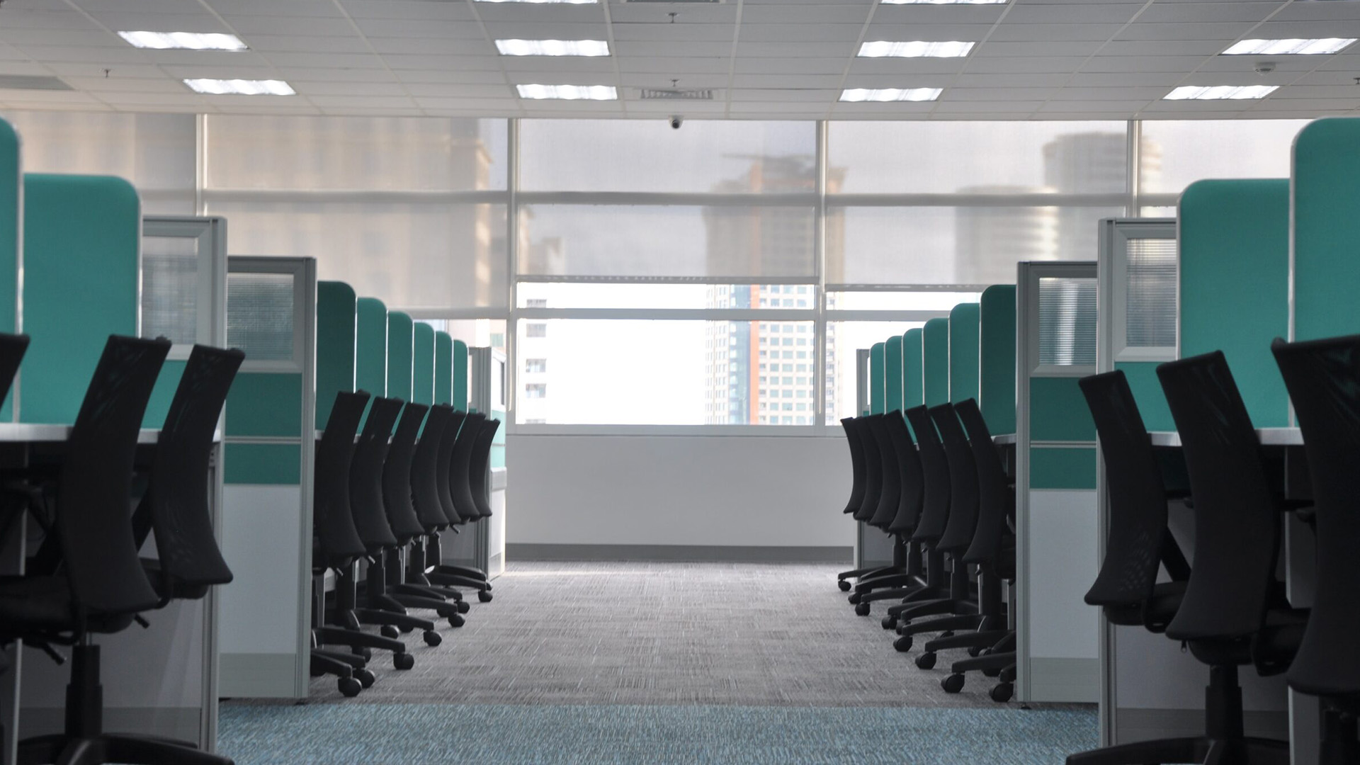 desks and chairs in an office