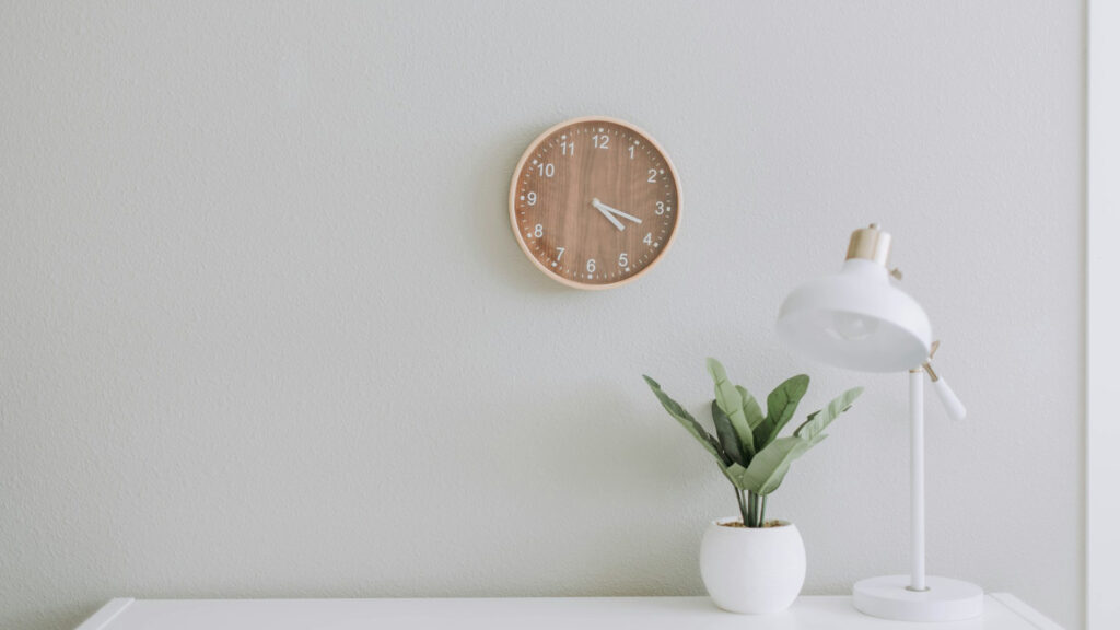 clock on wall and plant